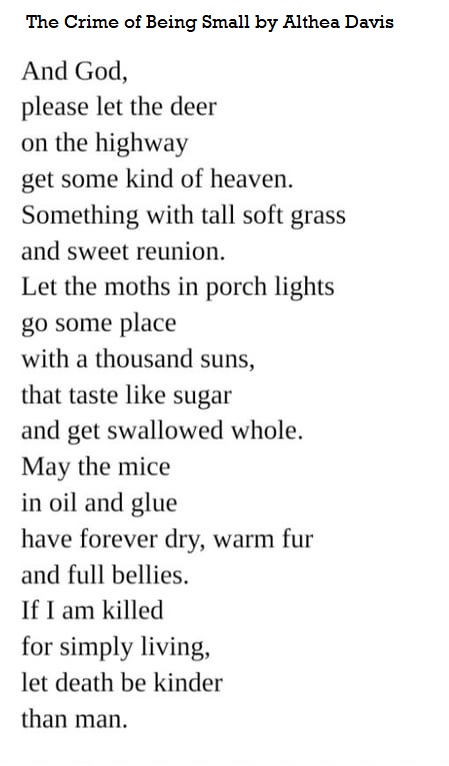 The image displays a poem titled 'The Crime of Being Small' by Althea Davis, with black text on a plain white background…