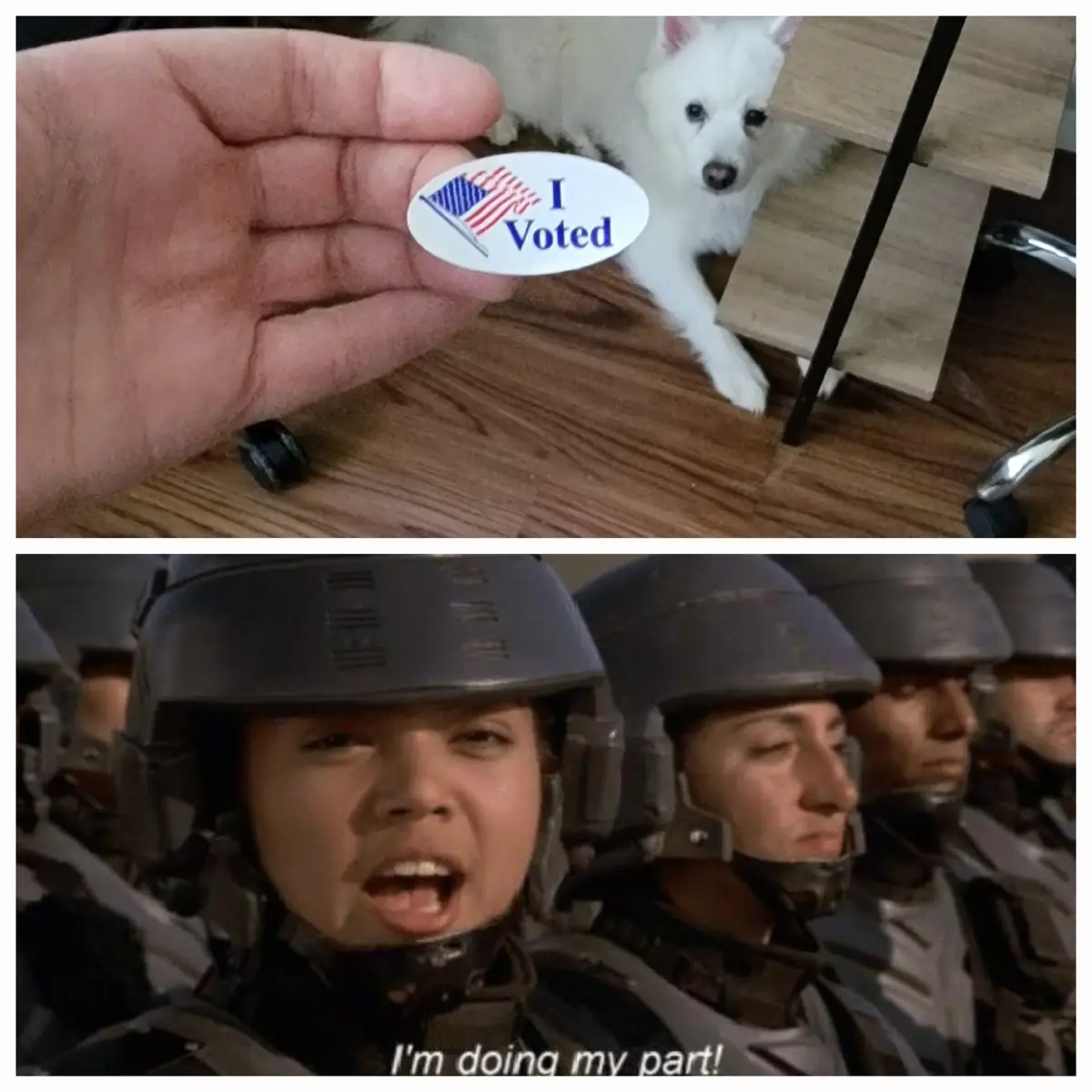 Top panel: A hand holds an 'I Voted' sticker next to a white dog peeking from under a desk. Bottom panel: A soldier from…