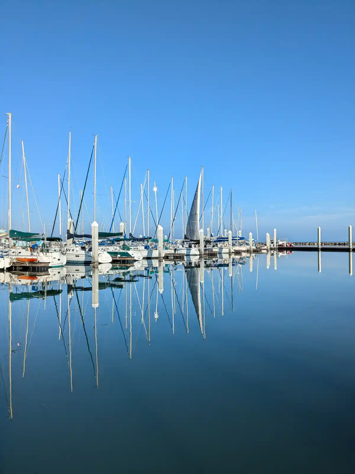 A serene marina with numerous sailboats docked, their masts and hulls perfectly mirrored in the calm, glassy water beneath a…