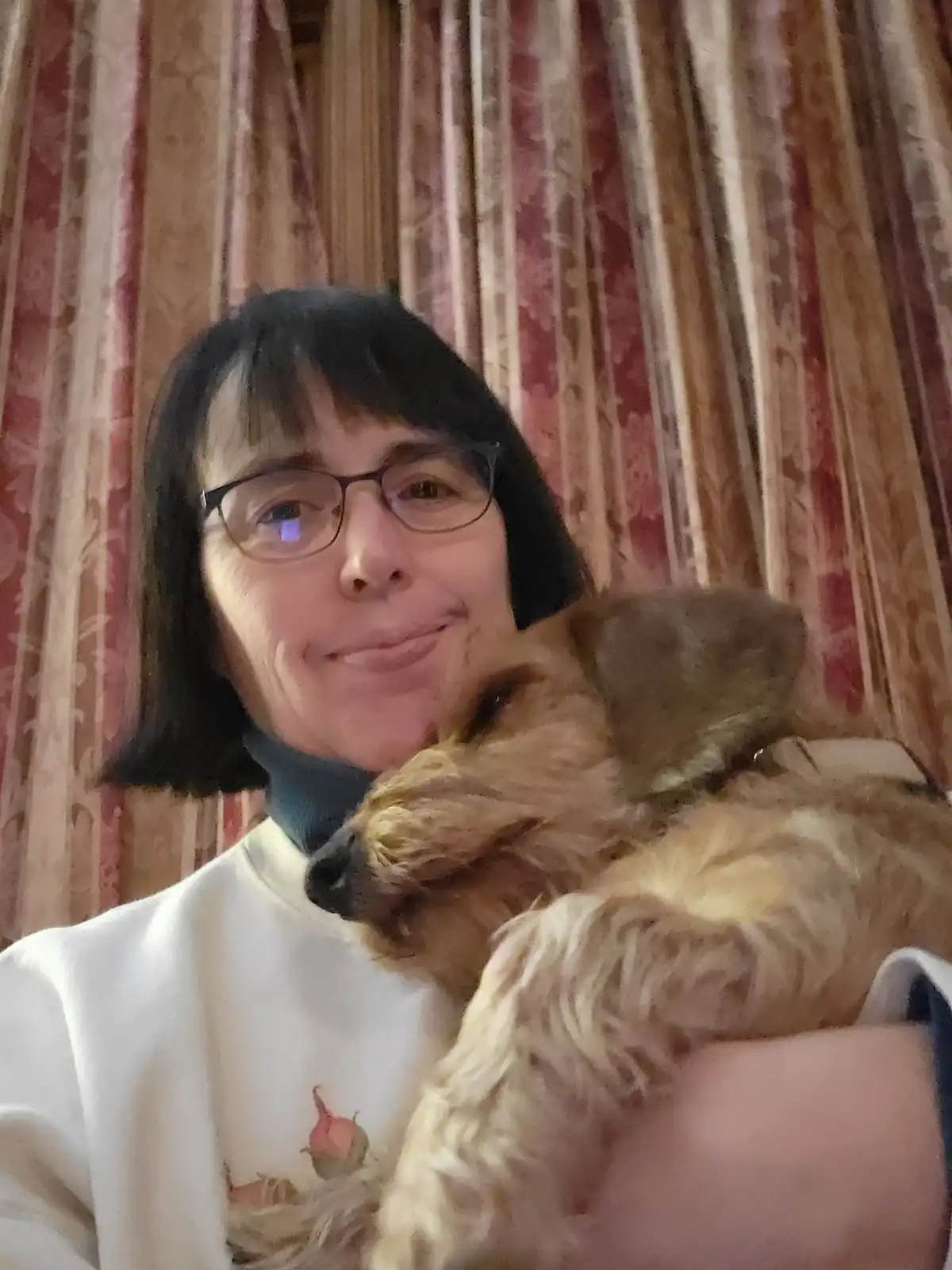 A person with short dark hair and glasses, wearing a white sweatshirt, holds a small, scruffy, light-brown dog close to…