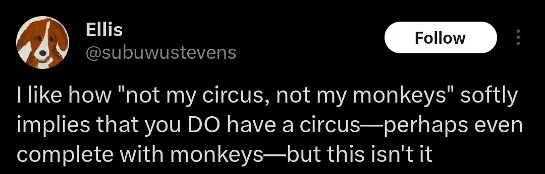 These monkeys are definitely not my responsibility