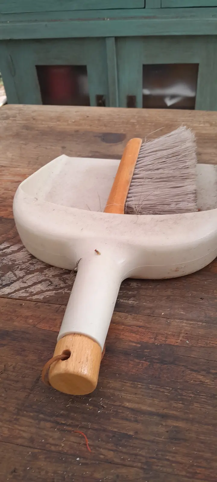 A white plastic dustpan with a wooden handle and a small brush rests on a weathered wooden table. The dustpan contains a…
