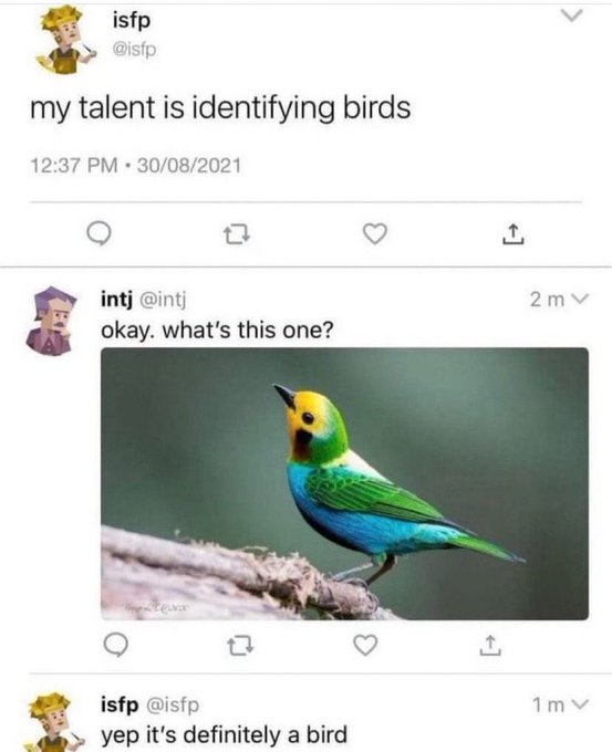 A screenshot of a Twitter thread shows a user (@isfp) claiming their talent is identifying birds. Another user (@intj)…