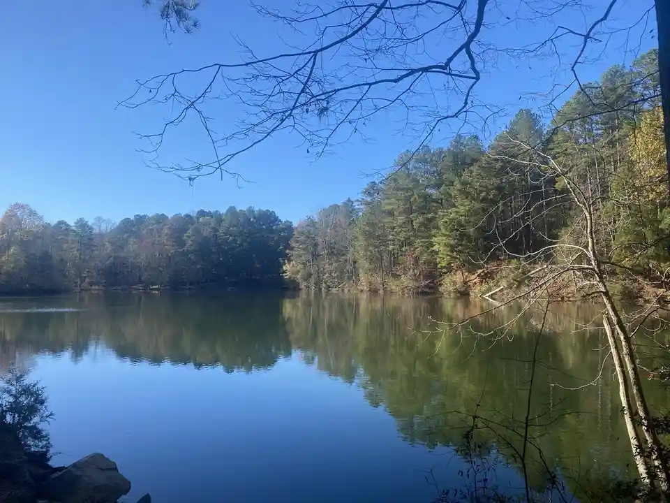 A serene photograph of a calm lake reflecting a forest under a clear blue sky, with bare tree branches framing the top and…