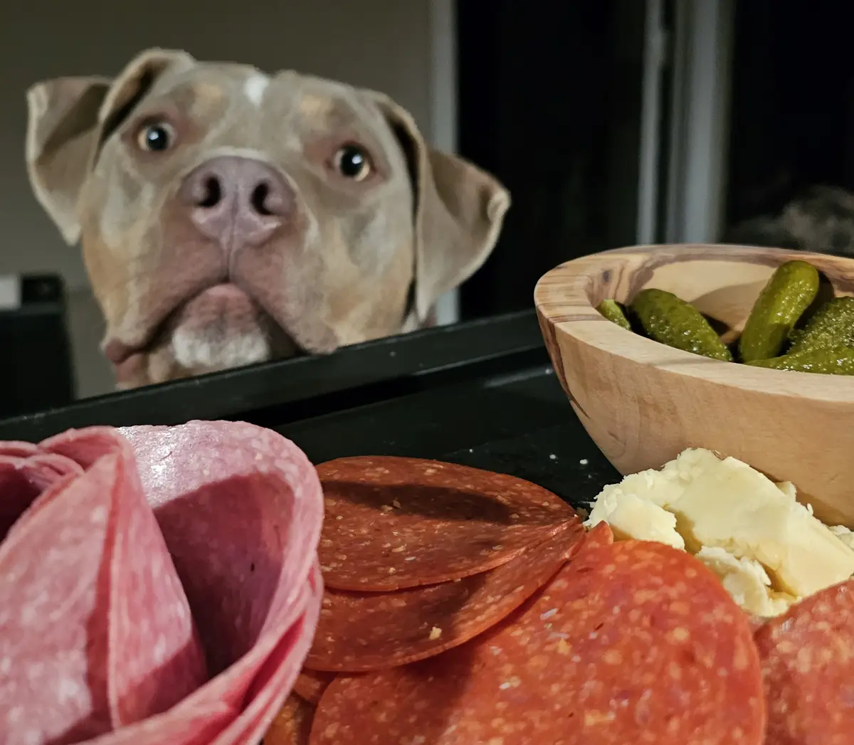 A light brown dog with wide, pleading eyes peers over a black tray filled with various sliced meats, including salami and…