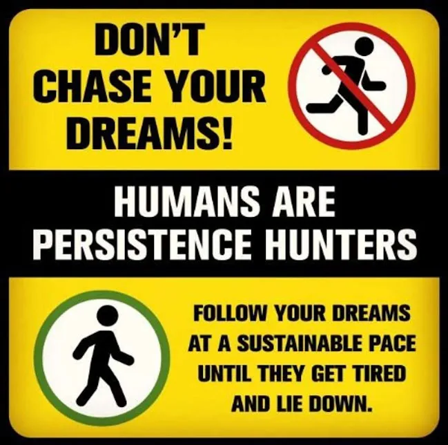 A yellow and black sign mimicking a warning label, with the top section saying 'DON'T CHASE YOUR DREAMS!' next to a 'no…