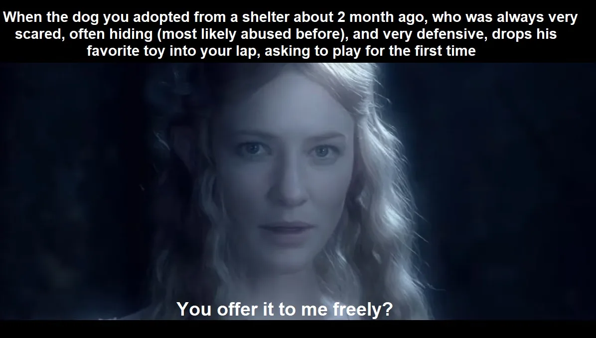 A still image of actress Cate Blanchett with a look of profound disbelief and gentle shock, overlaid with text describing a…