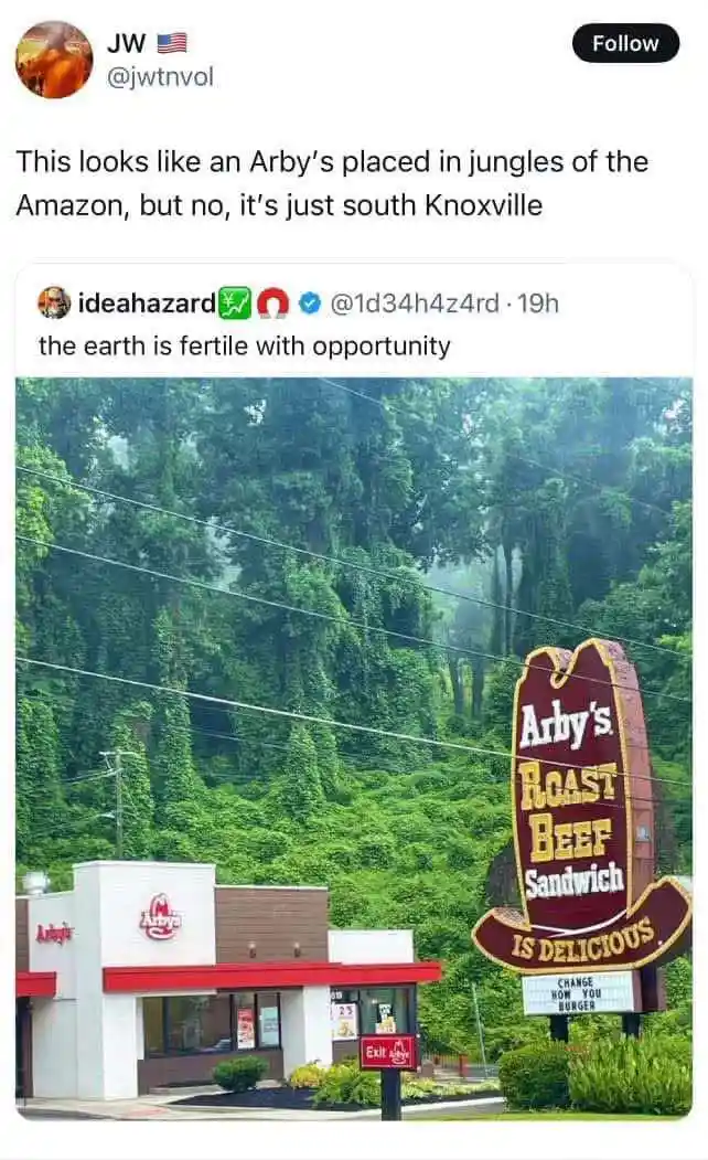 An Arby's restaurant with a large sign reading 'Arby's Roast Beef Sandwich IS DELICIOUS' is surrounded by extremely dense…