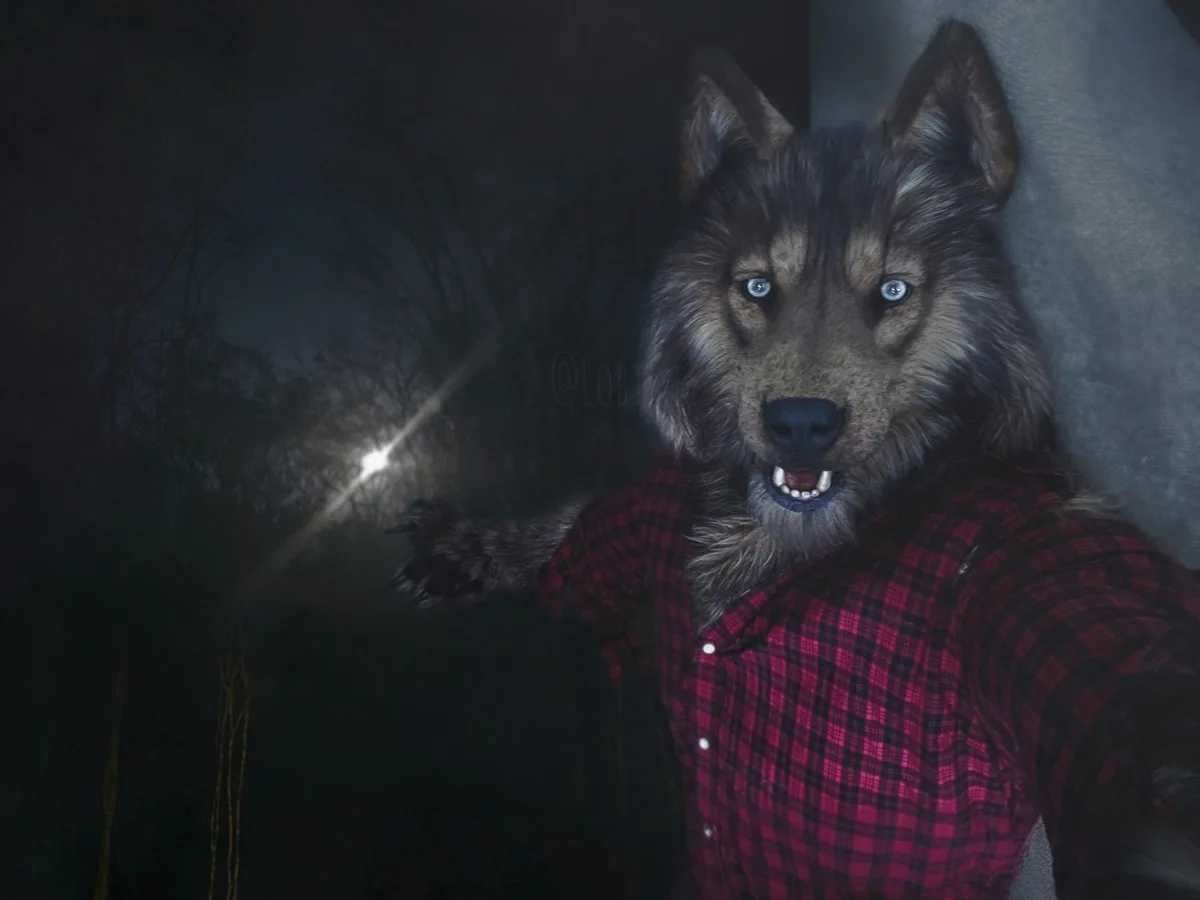 A digitally altered image shows a wolf with glowing blue eyes wearing a red and black plaid shirt, taking a selfie in a…