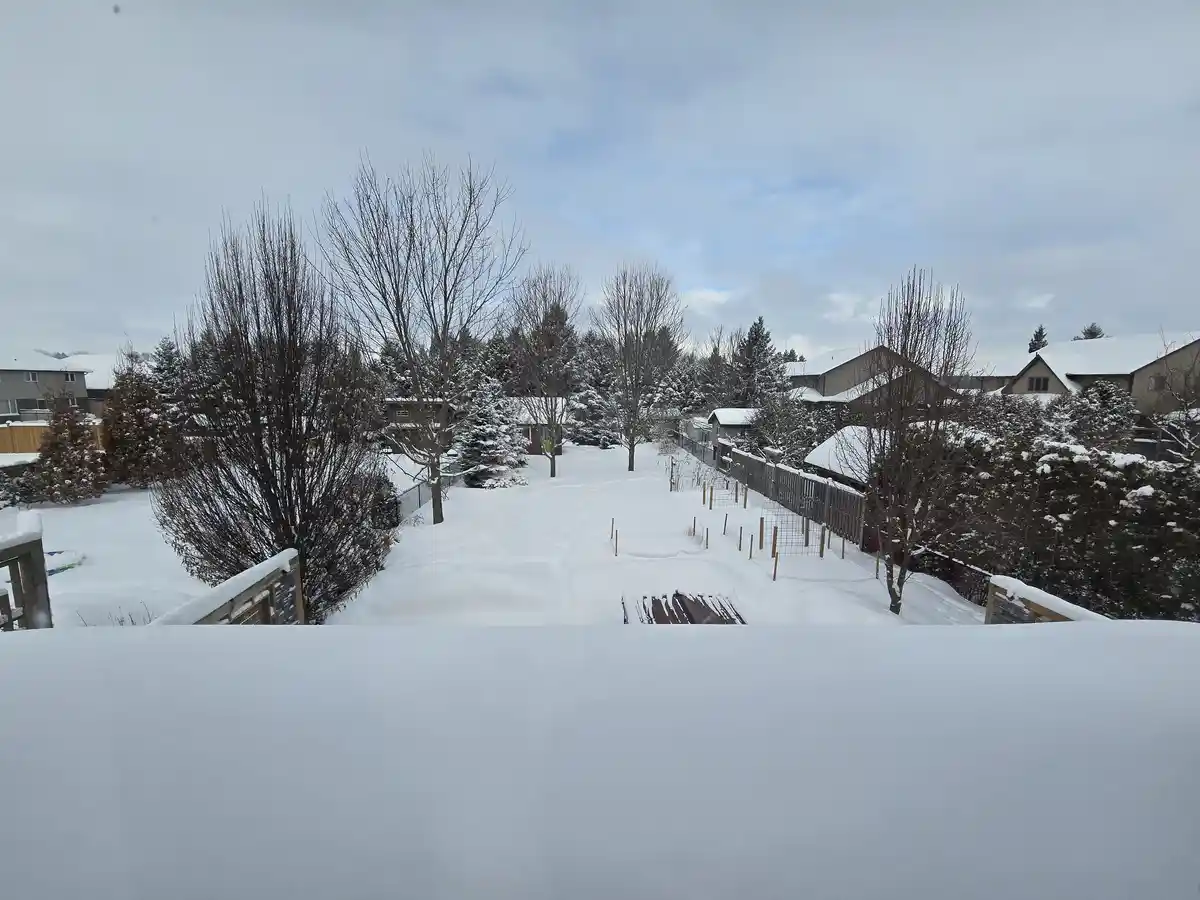 A snowy residential backyard viewed from a snow-covered deck or balcony, with bare trees, snow-laden evergreens, and houses…