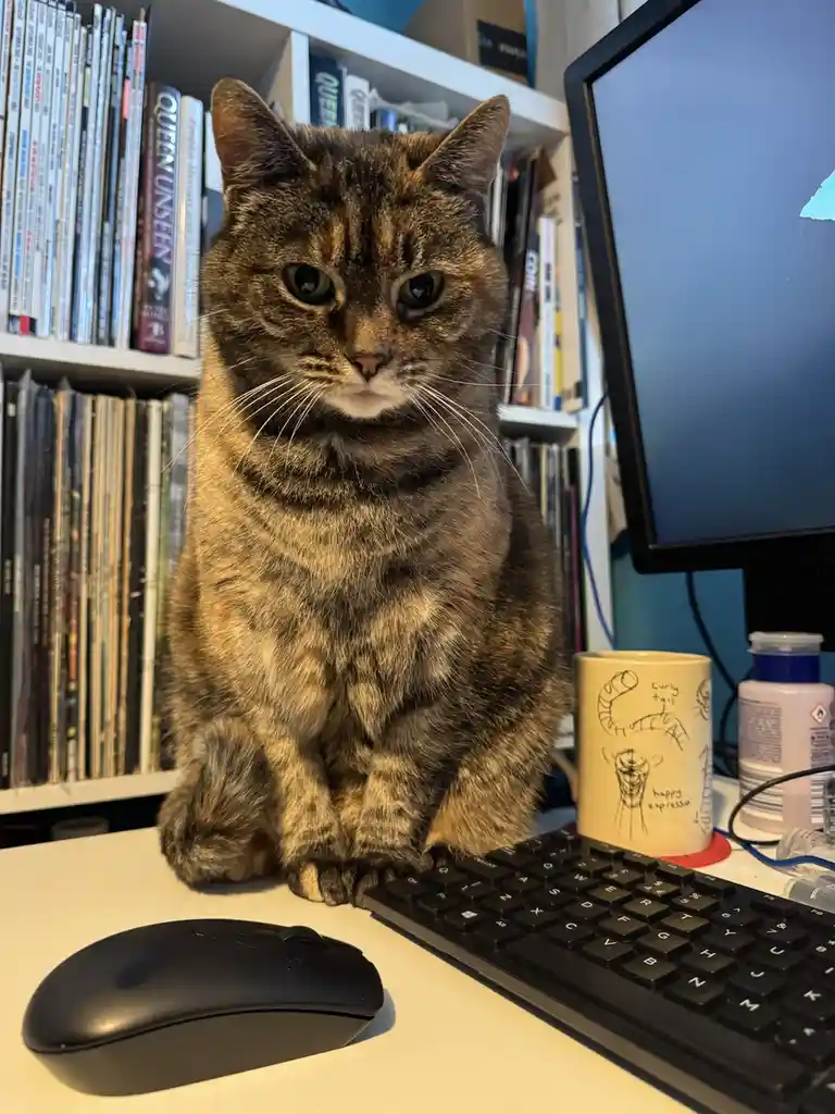 A tabby cat sits upright on a desk in front of a keyboard and mouse, looking directly at the camera with a serious…
