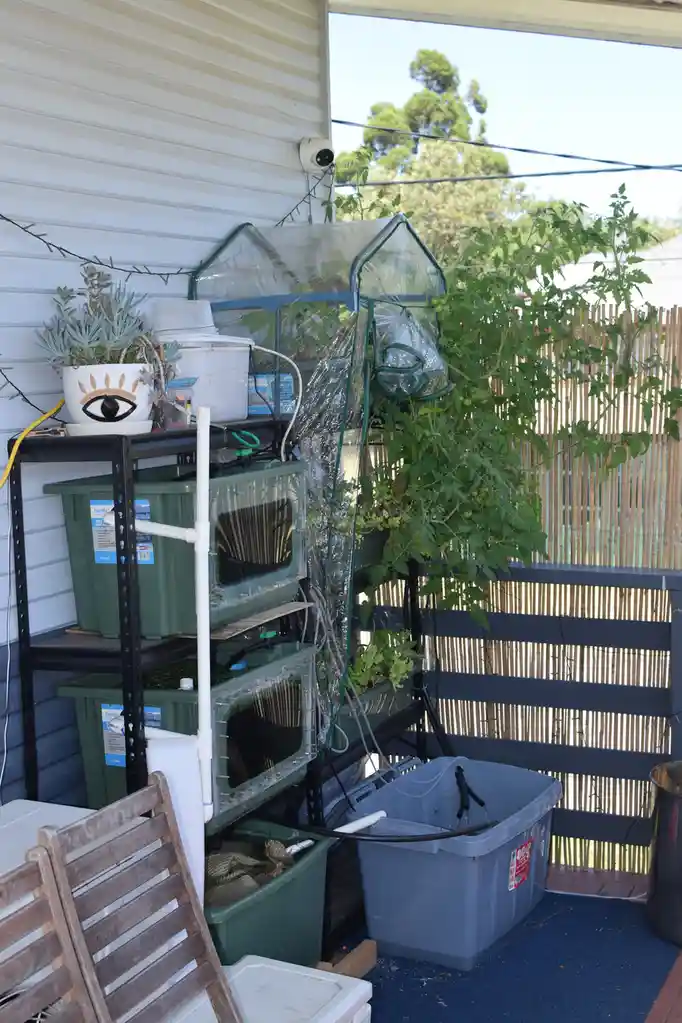 An outdoor patio area features a complex, multi-tiered hydroponic gardening setup with stacked green bins, tubing, and a…