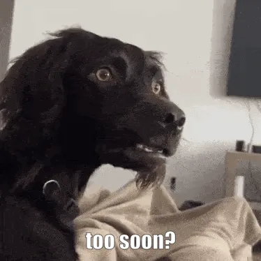 A black dog with long floppy ears is shown in six panels, each displaying a progressively more alarmed or confused facial…