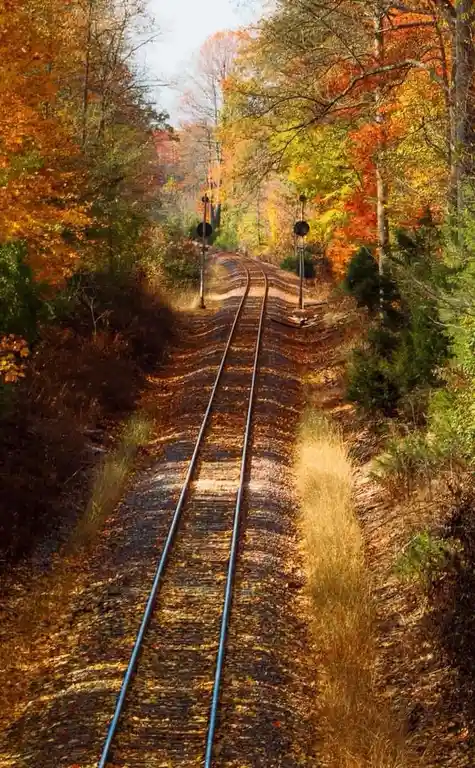 Journey Through the Railroad