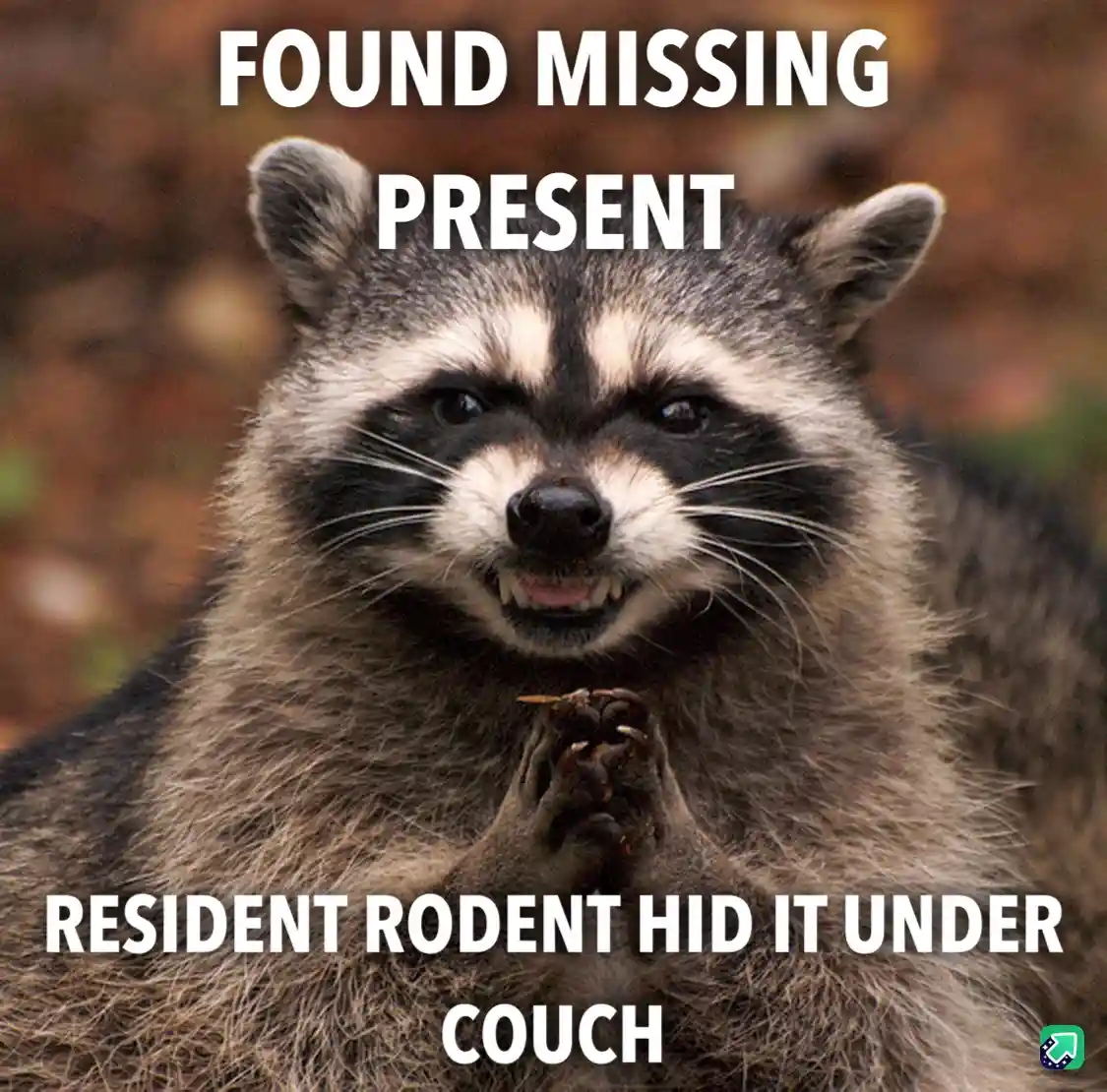 A close-up photo of a raccoon with a mischievous expression, its paws clasped together as if presenting something. The…