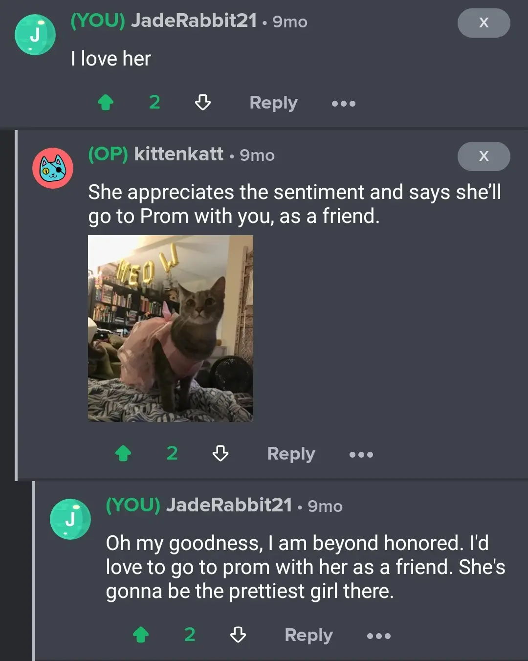 A screenshot of a Reddit thread where a user says 'I love her,' and the original poster replies that 'she' (a cat in a pink…