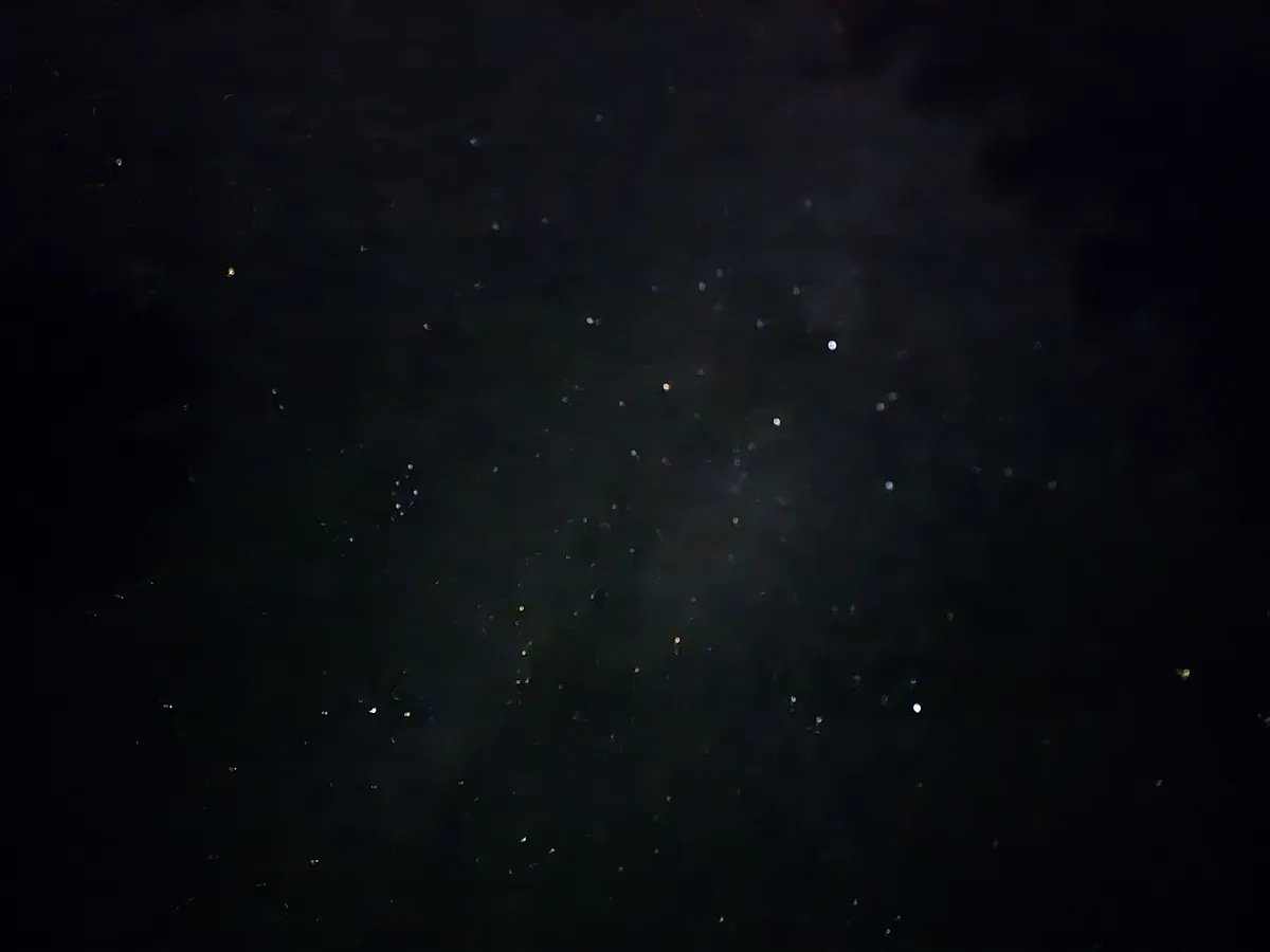 Exploring the Wonders of the Milky Way