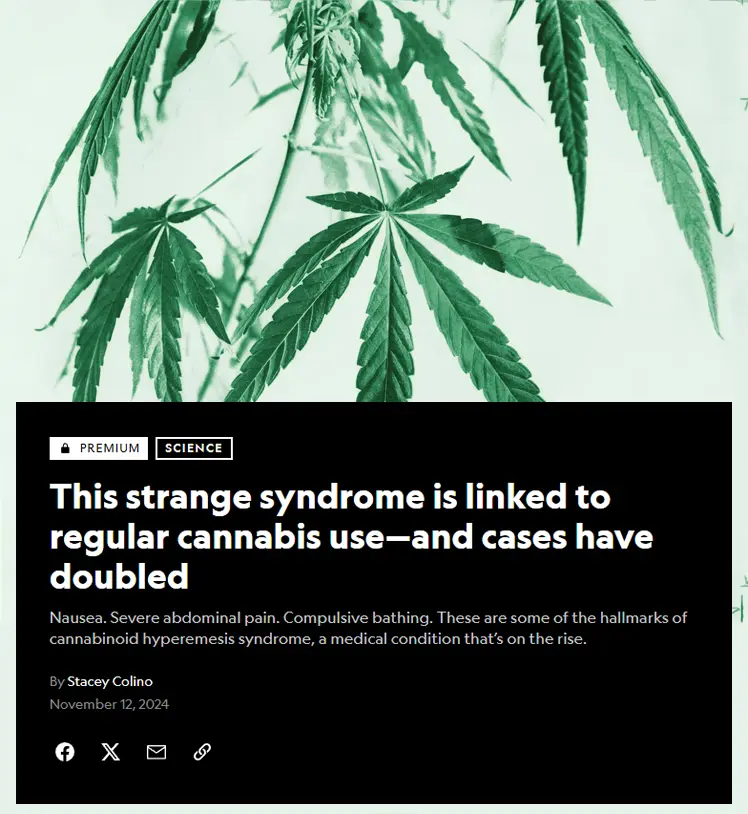 The image displays a green cannabis plant above a black box mimicking a news article header. The article is labeled…