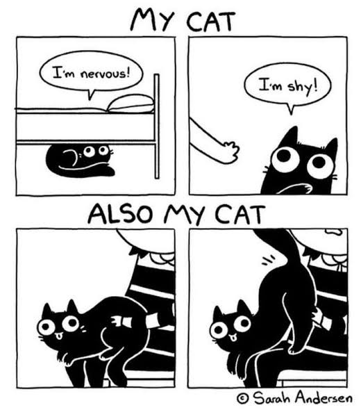 A four-panel black-and-white comic strip by Sarah Andersen. The top panels show a cat hiding under a bed saying 'I'm…