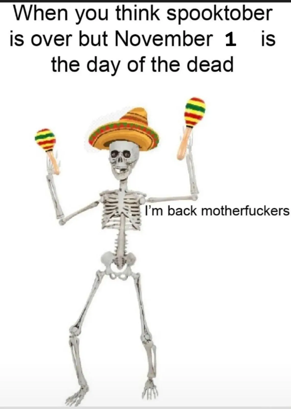 A skeleton wearing a colorful sombrero and holding two maracas strikes a celebratory pose against a white background. The…