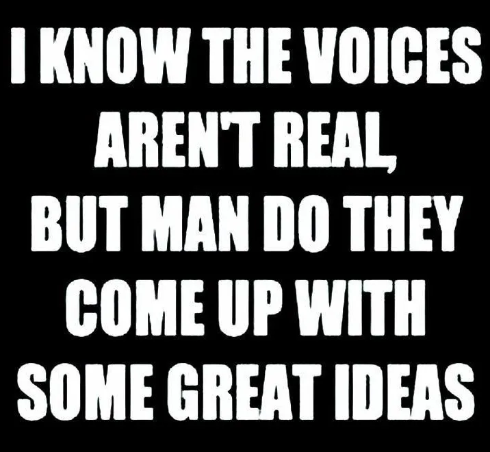 A black background with bold white text that reads: 'I KNOW THE VOICES AREN'T REAL, BUT MAN DO THEY COME UP WITH SOME GREAT…