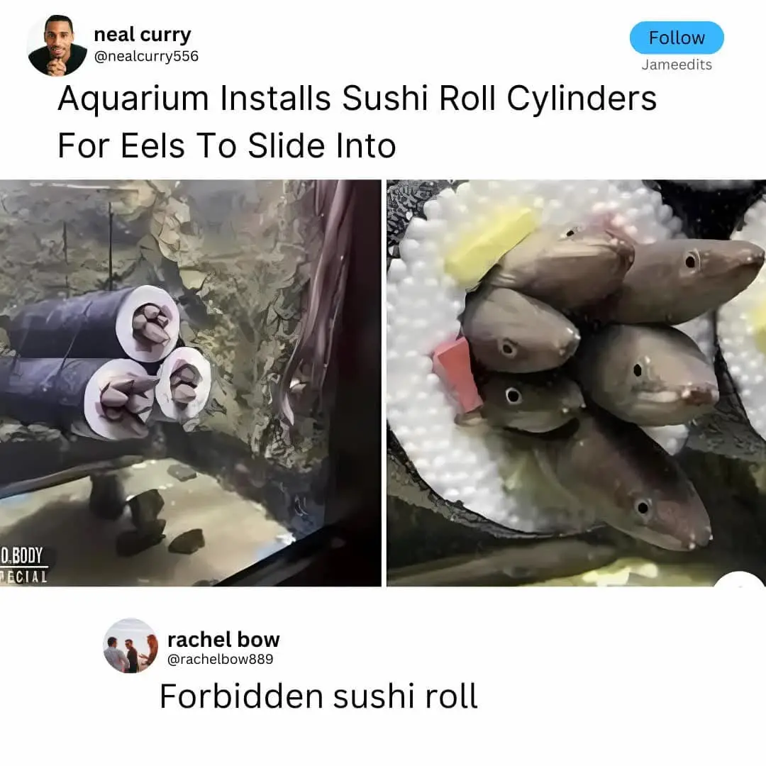 The image displays two side-by-side photos: the left shows cylindrical objects resembling sushi rolls installed underwater…