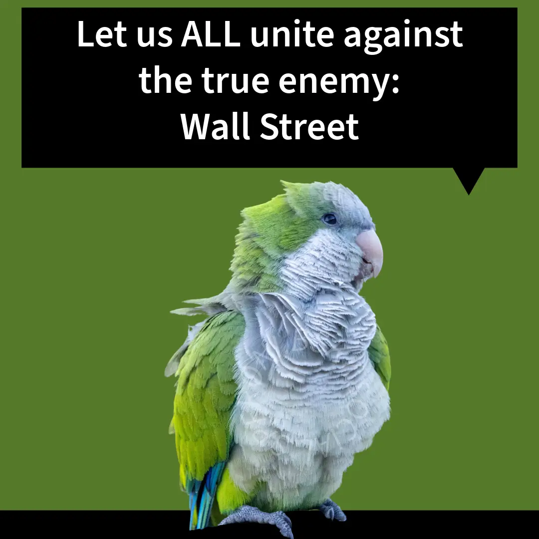 A green and white parrot with ruffled feathers stands against a solid green background, with a black speech bubble above it…