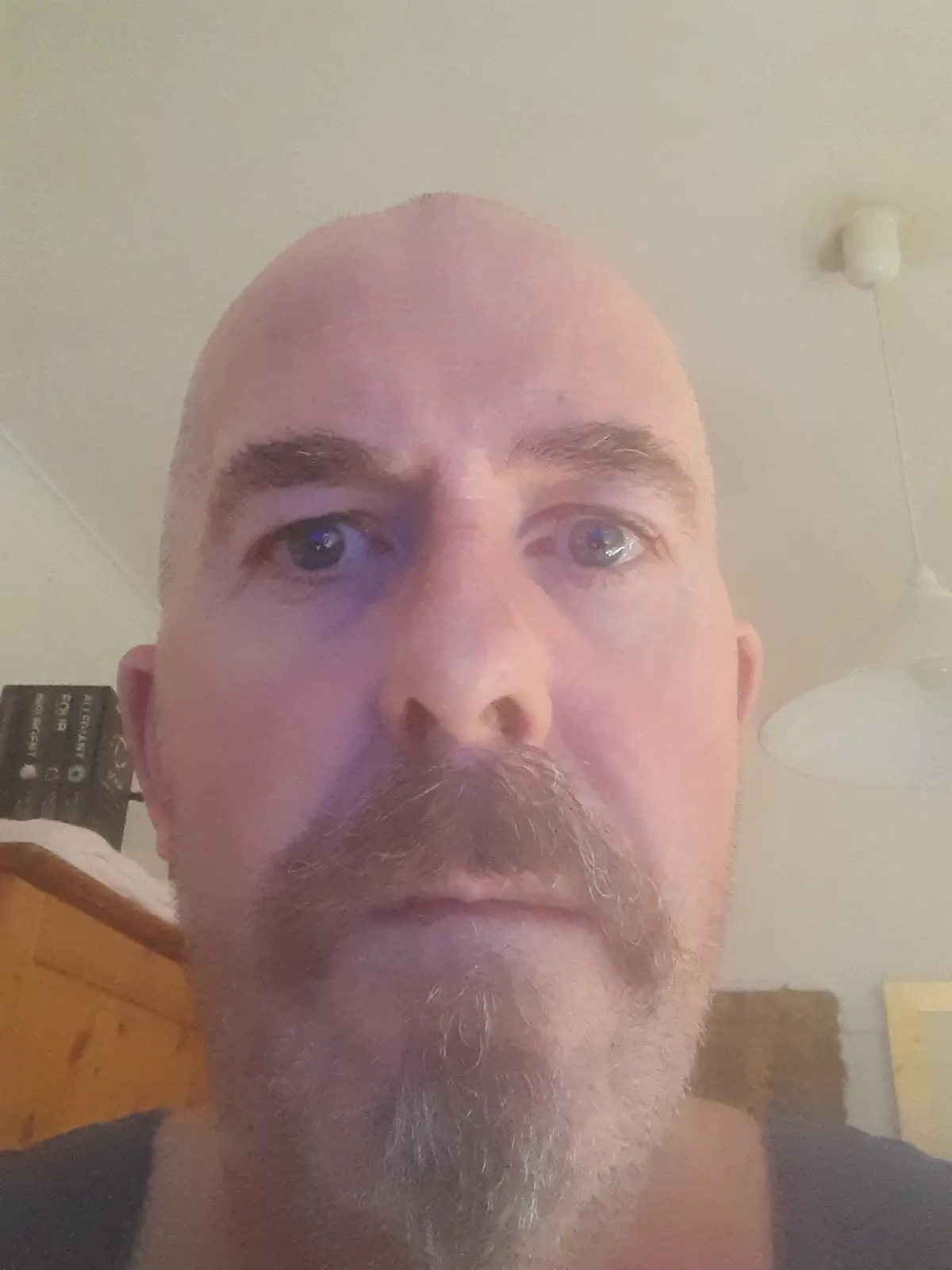 A close-up selfie of a bald man with a graying goatee and mustache, looking directly at the camera with a neutral…