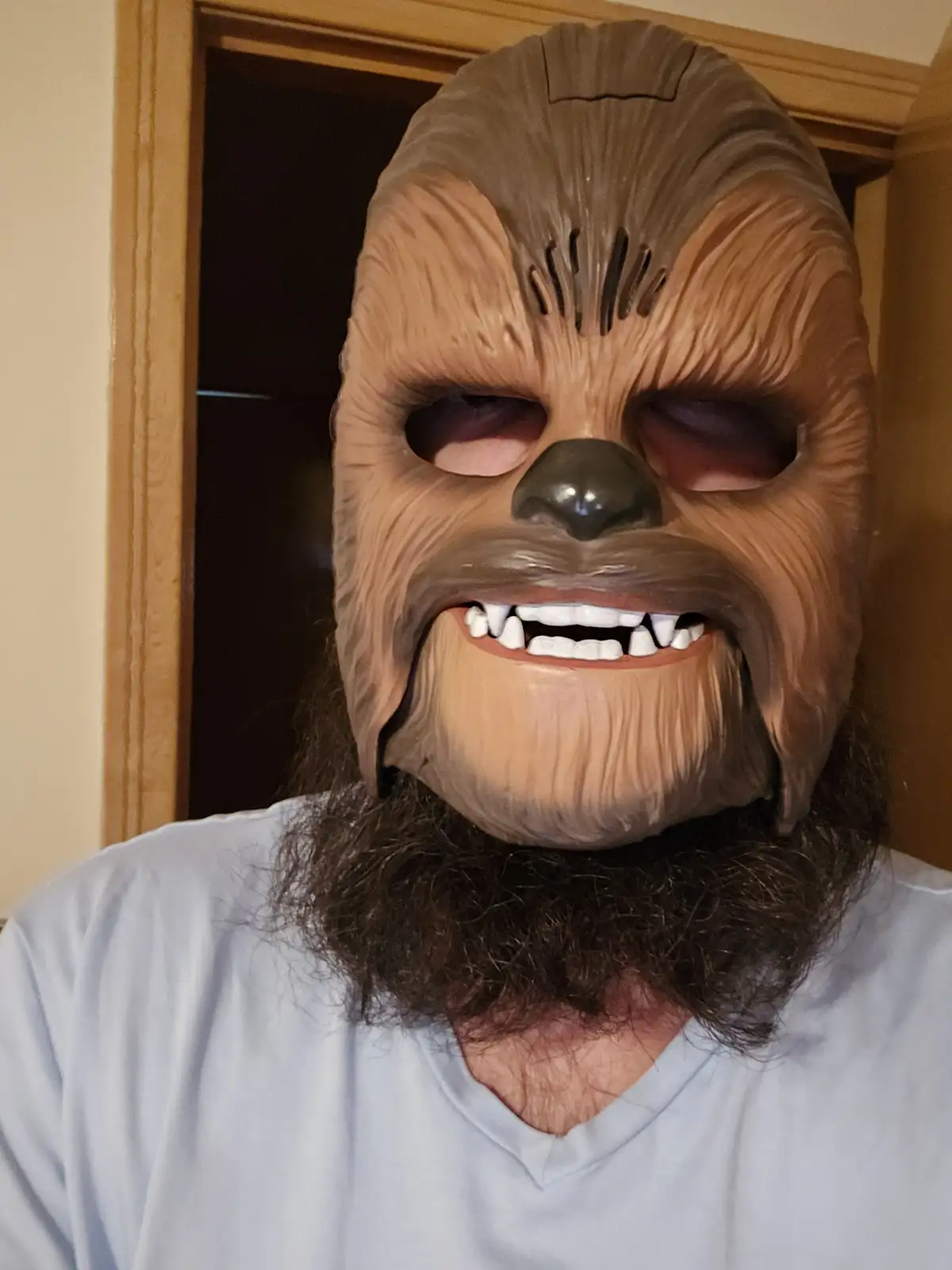 A person wearing a full-face Chewbacca mask from Star Wars, with the mask's mouth open in a grin, stands indoors in front of…