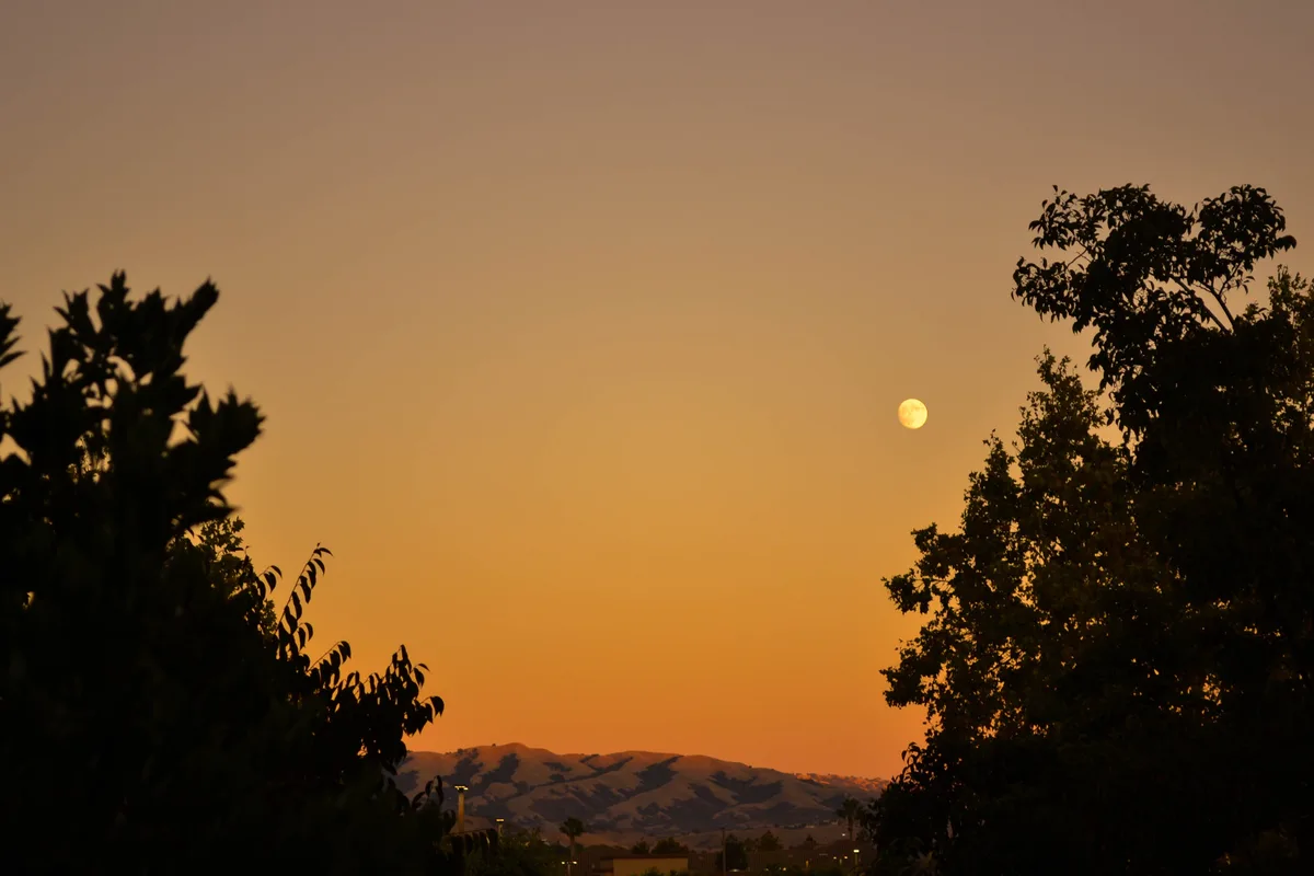 A serene sunset or sunrise photo shows a full, glowing moon centered in an orange-hued sky, framed by dark silhouettes of…