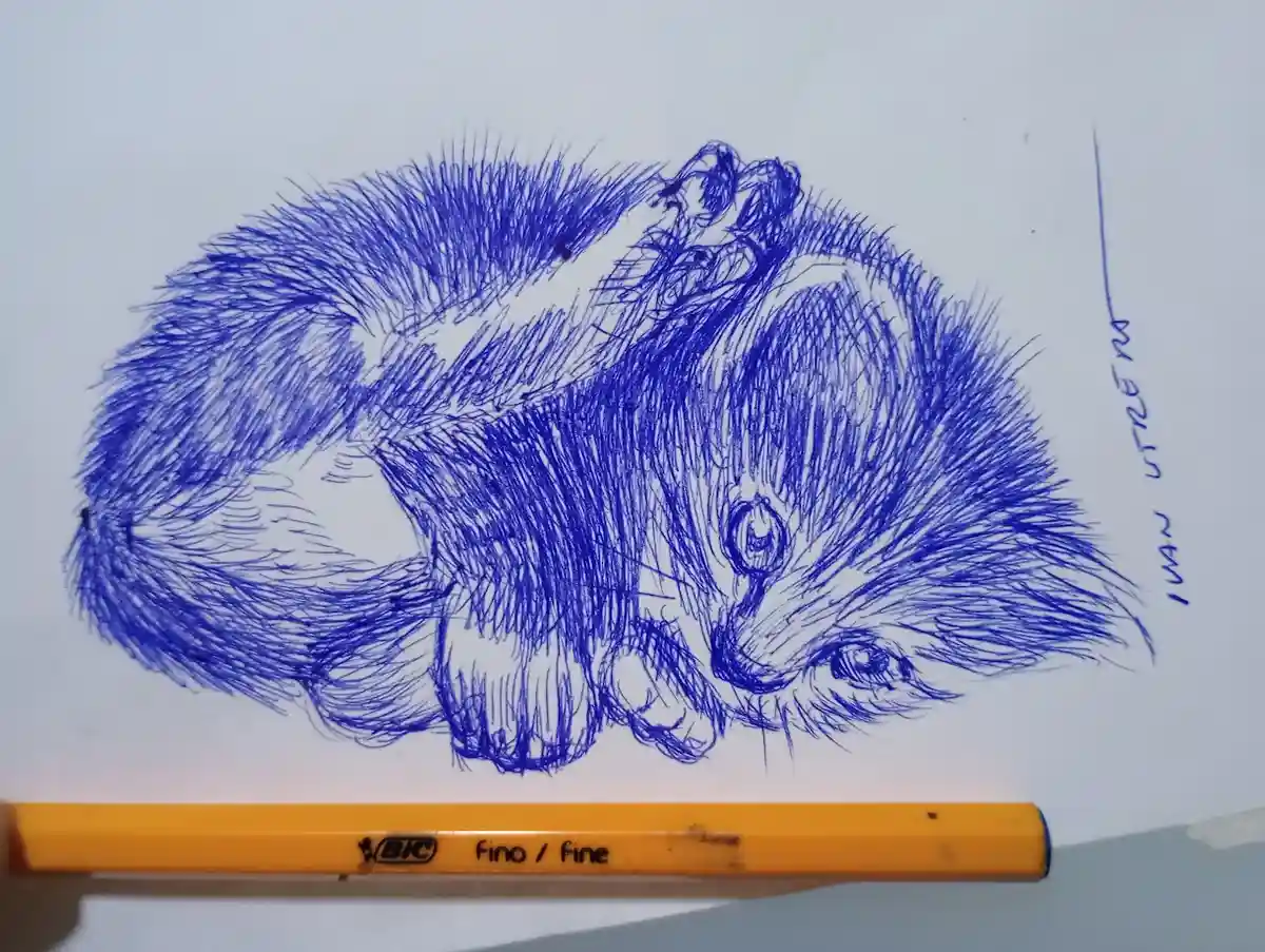 A detailed blue ink sketch of a small, fluffy animal, likely a kitten, curled up and looking forward with large eyes. A…