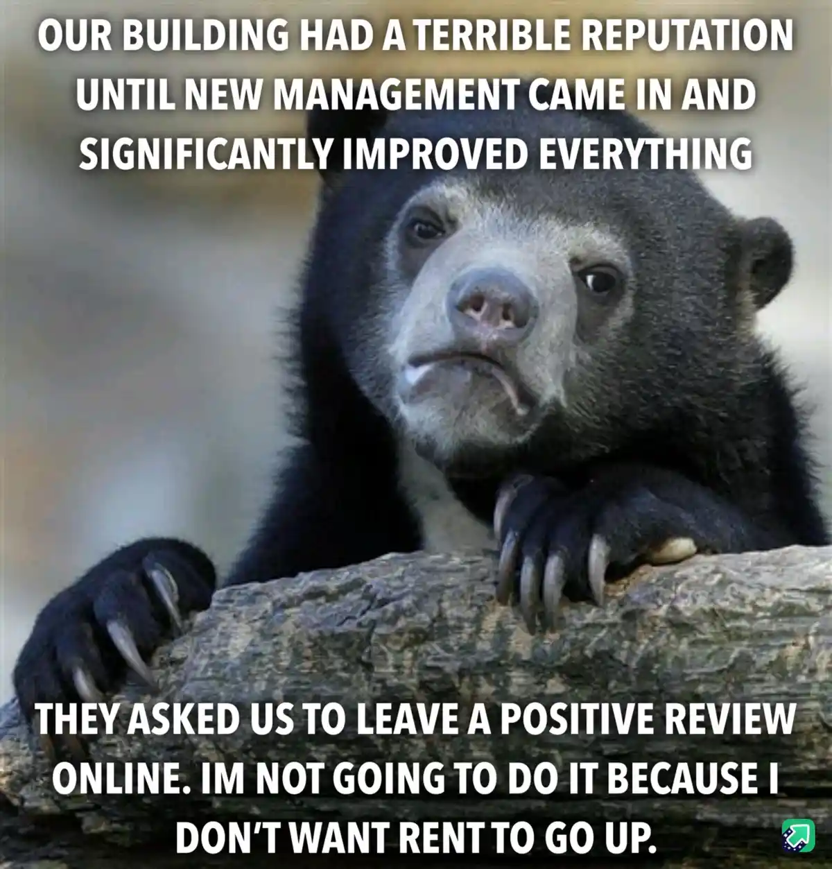 A close-up photo of a sad-looking sun bear resting its paws on a log, with white text overlaid in two blocks. The top text…