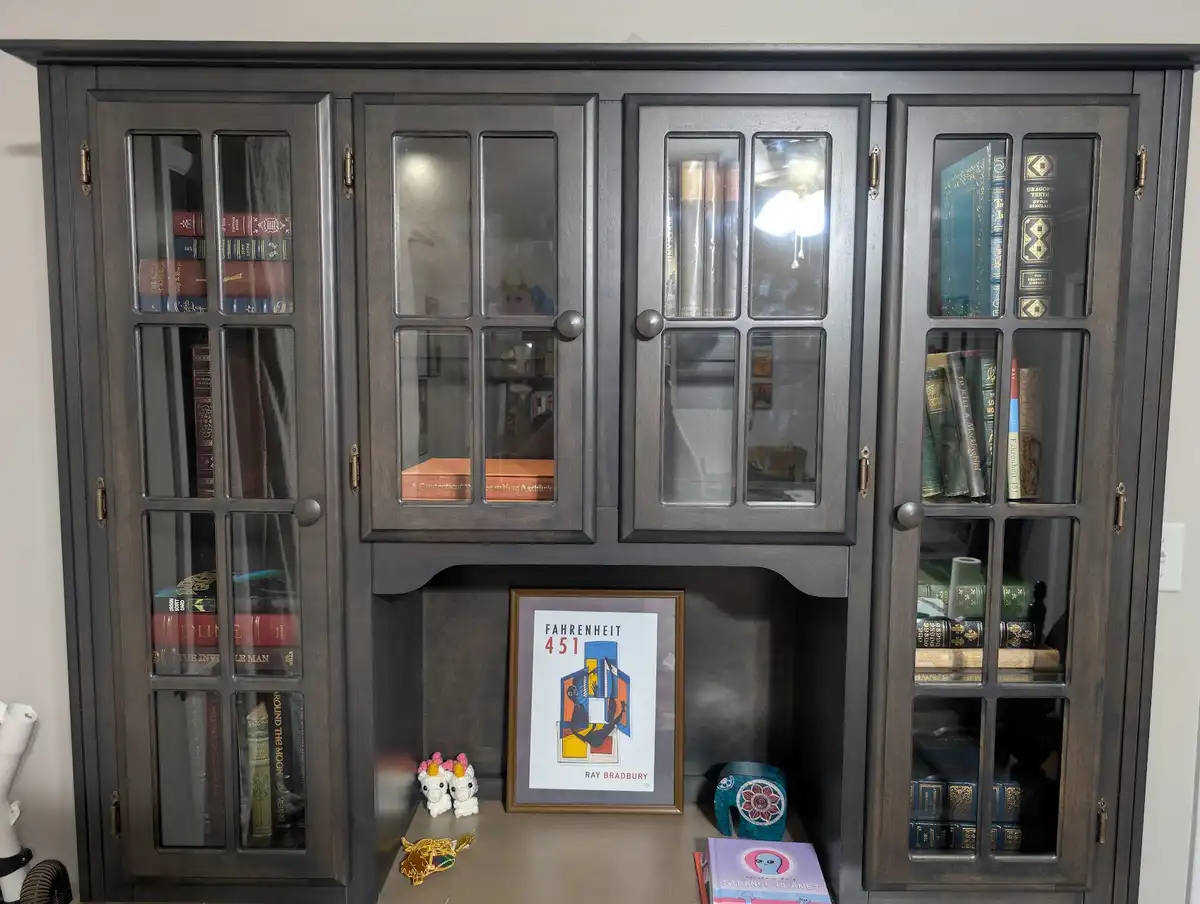 Transforming My China Cabinet with Stunning Lighting to Showcase My Book Collection