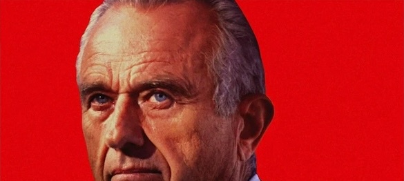 A close-up portrait of Lyndon B. Johnson against a solid red background, with the overlaid text 'I'm not a crook.' The image…
