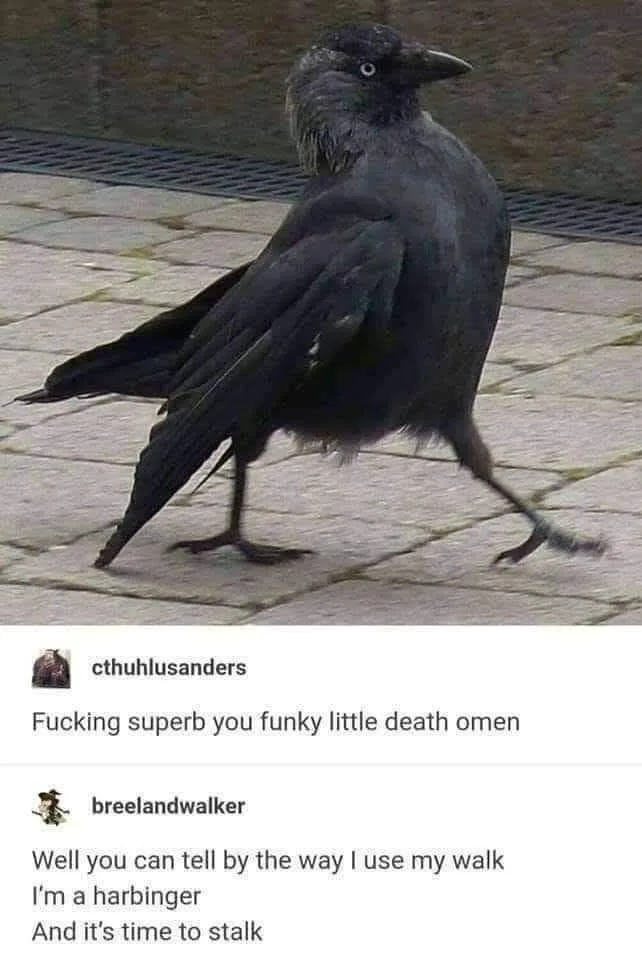 A black crow walks on a paved sidewalk, its body slightly hunched and its legs in motion. Overlaid text mimics a social…