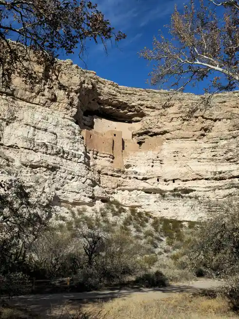a photograph of ancient cliff-dwelling ruins built into a light-colored, stratified rock cliff face under a clear blue sky…