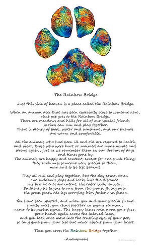 A black-and-white image displays a poem titled 'The Rainbow Bridge' written in a serif font. The text describes a mythical…