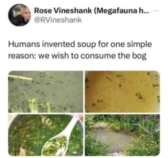 A four-panel image collage shows a swampy bog with floating debris, a murky yellow liquid, a bowl of green soup with a…