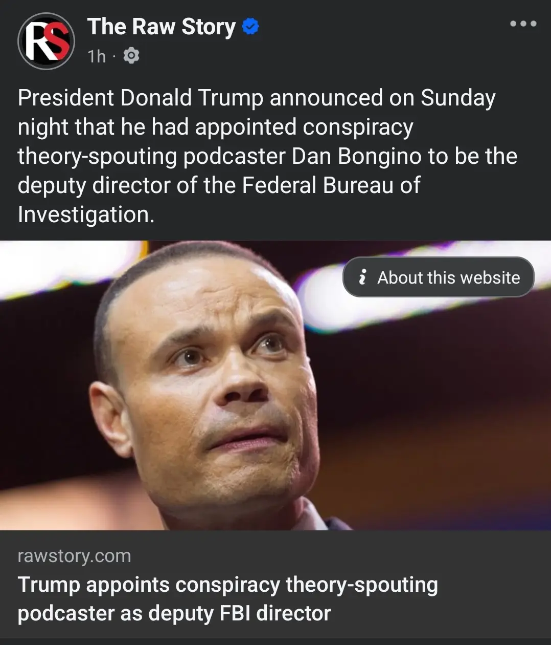 The image shows a screenshot of a news article from 'The Raw Story' with a headline about President Donald Trump appointing…
