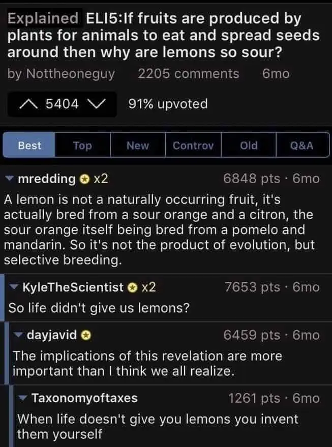 The Illusion of Reality: Nothing is Truly Real