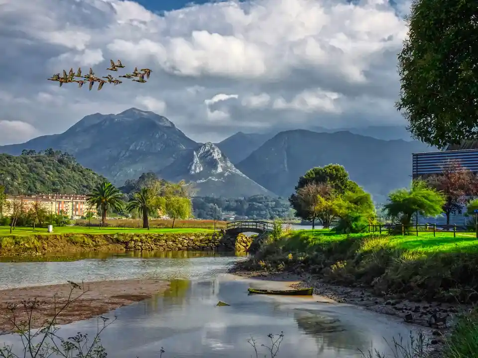 A scenic landscape photo shows a flock of geese flying in formation across a cloudy sky above a river with a small stone…