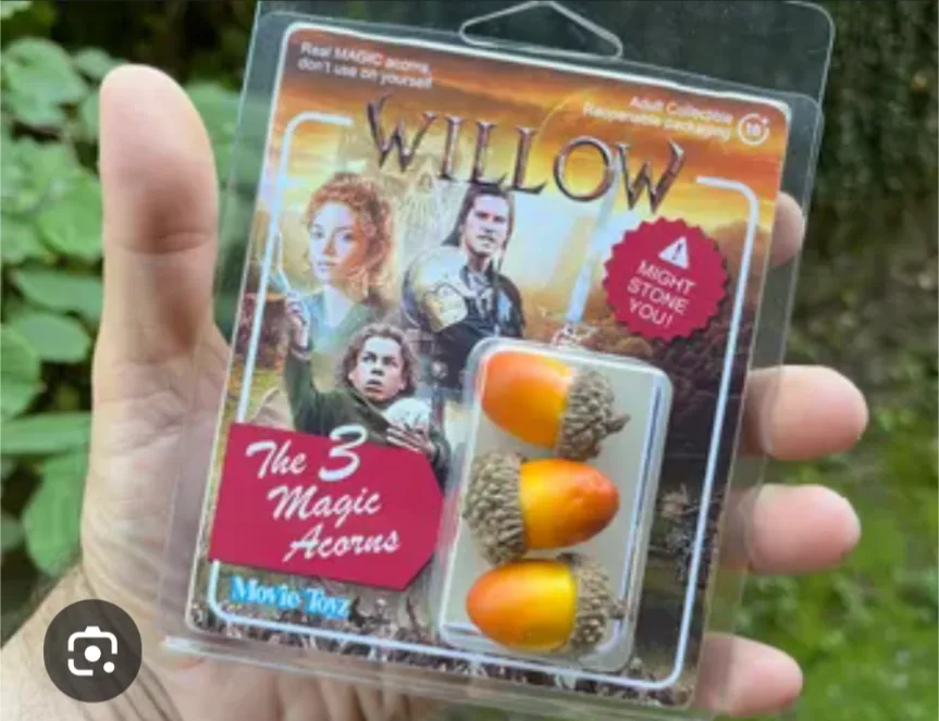 Who Wants to Experience Some Magical Acorns?