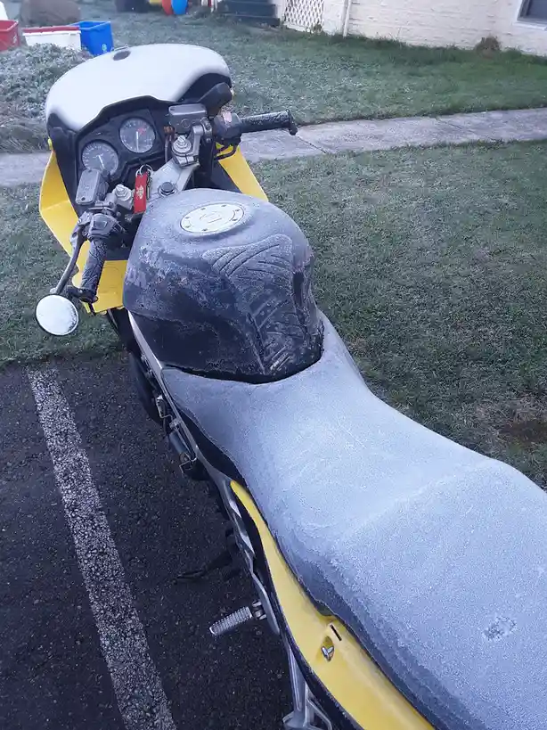 Braving the Frosty Commute to Work