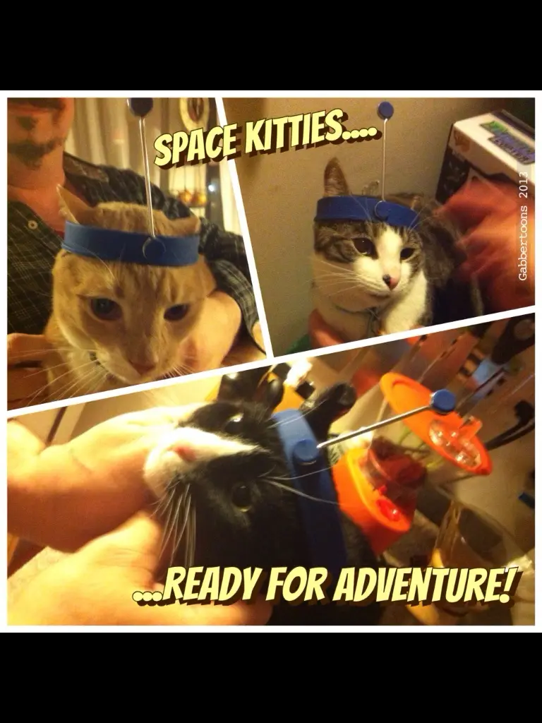 Gabbercats Taking Over the Cosmos!