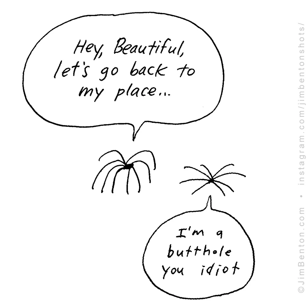 A black-and-white cartoon shows two spiders with speech bubbles. The top spider says, 'Hey, Beautiful, let's go back to my…