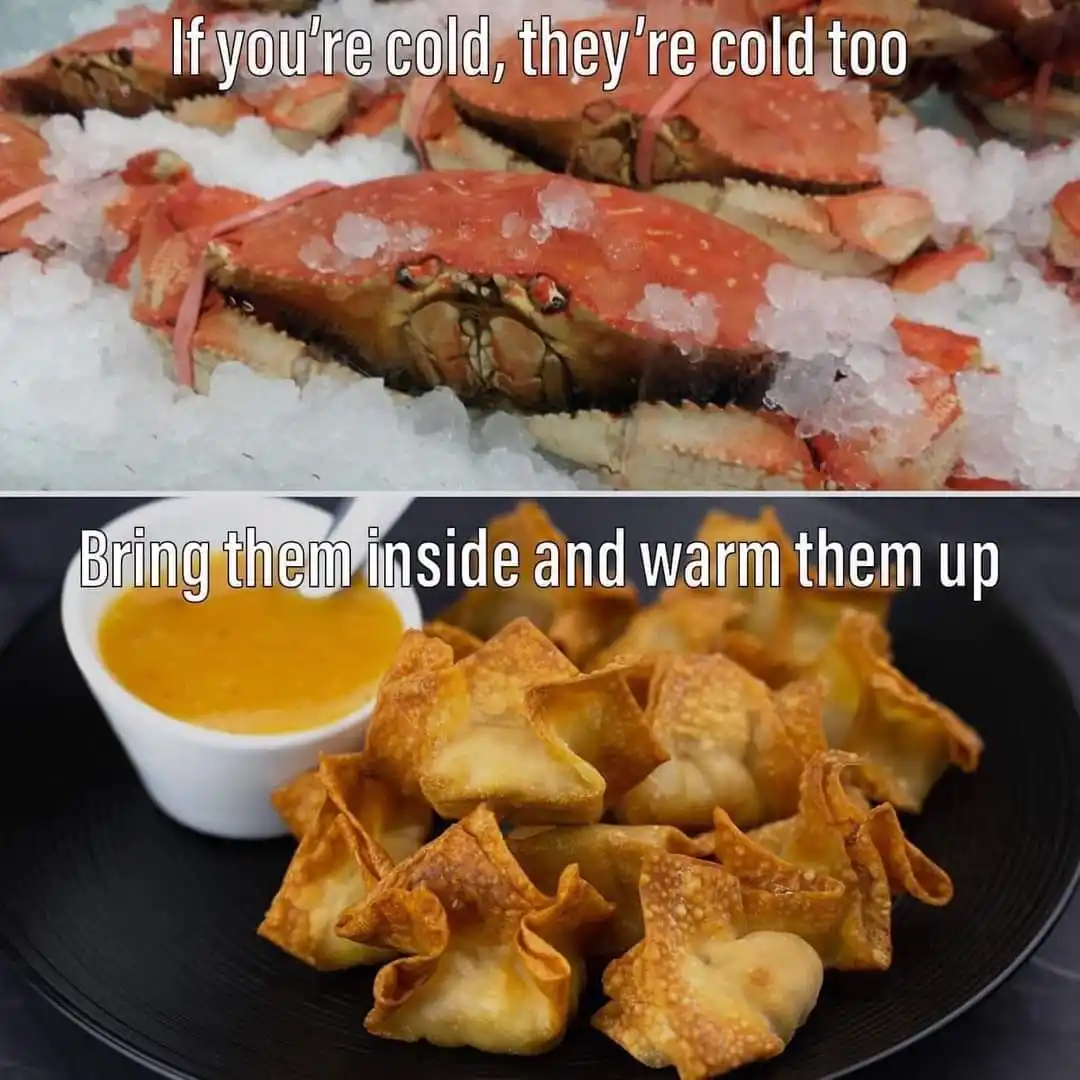 The image is split into two panels. The top panel shows live crabs on a bed of ice with the text 'If you're cold, they're…