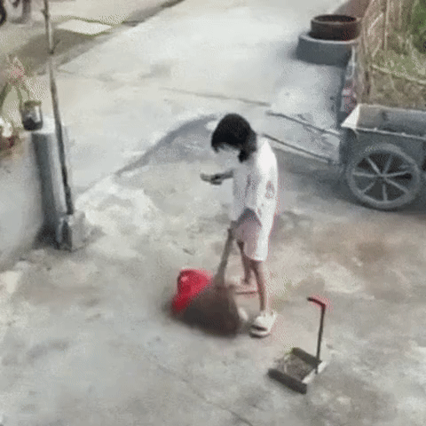 A six-panel grid shows a young girl in a yard, initially sweeping a red bag with a broom. She pauses, looks confused with a…