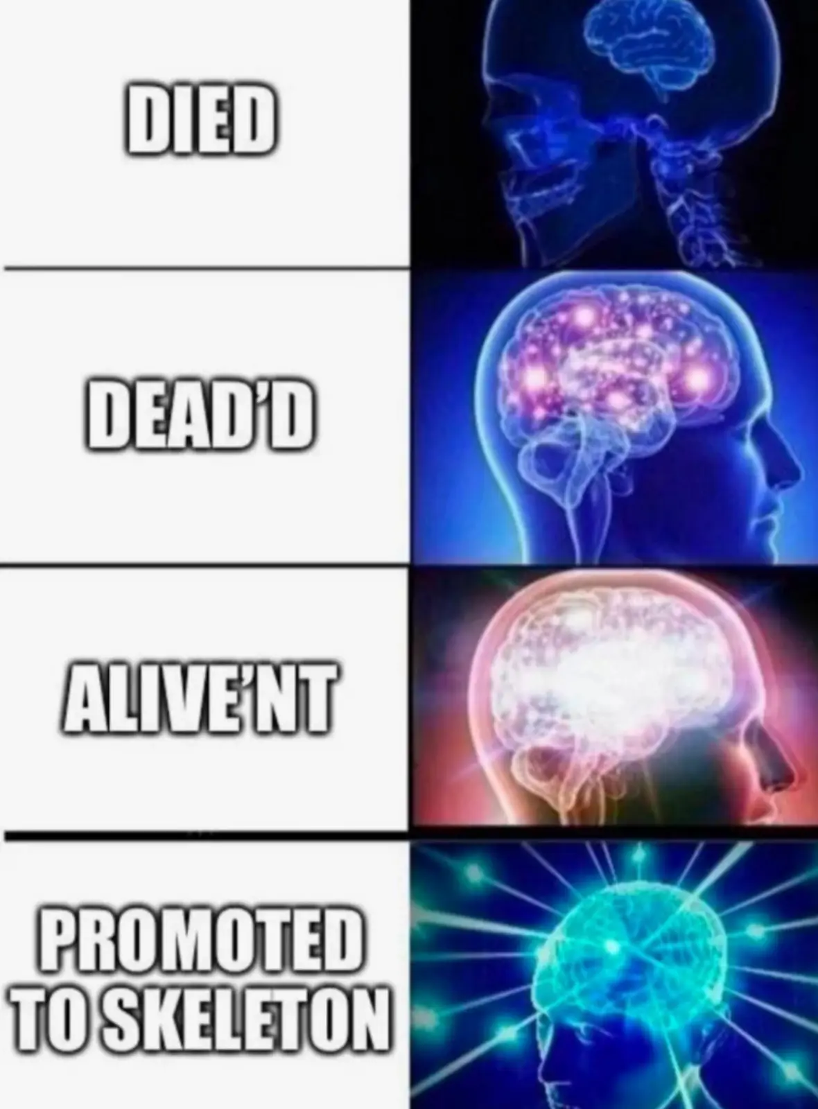 A four-panel meme shows a human skull and brain in progressively more vibrant, glowing states, paired with text that reads…