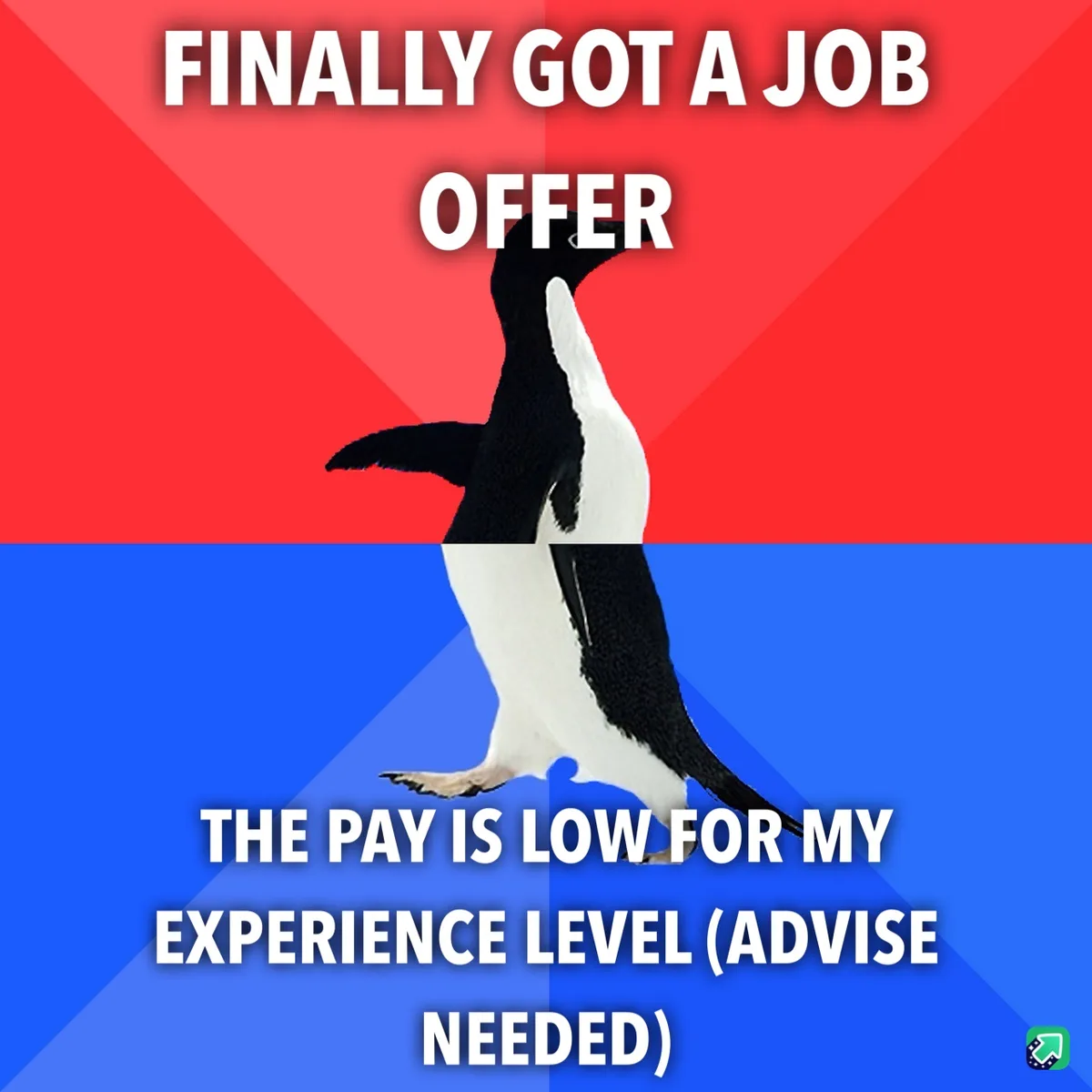A black-and-white penguin stands centered against a red-and-blue background, with bold white text above reading 'FINALLY GOT…