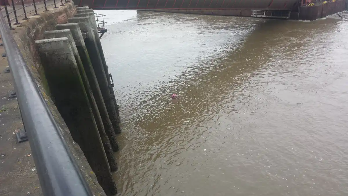 A pink soccer ball floats alone in murky river water, viewed from a concrete embankment with a metal railing. A large red…